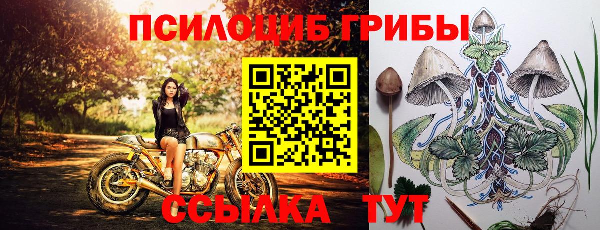 Галлюциногенные грибы ЛСД  Вход с VPN  Галлюциногенные грибы Cubensis  Владимир 