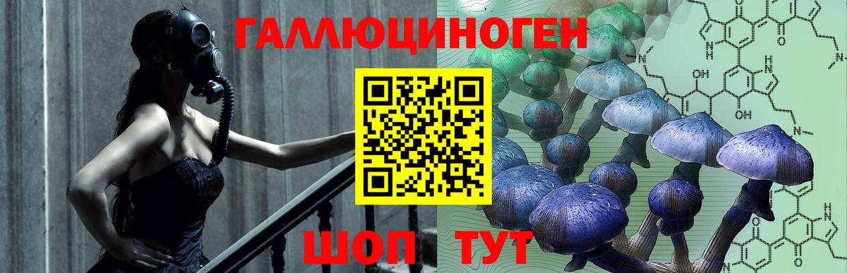 Галлюциногенные грибы Cubensis Владимир
