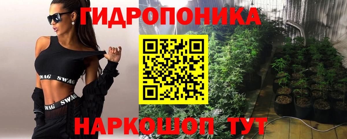 Бошки Шишки марихуана Владимир